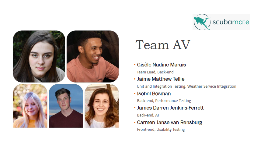 Team Introduction